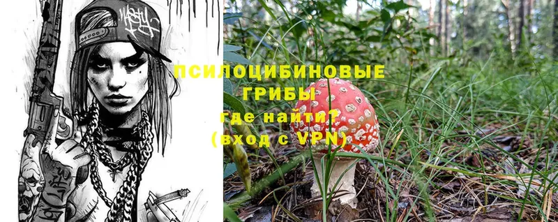 Галлюциногенные грибы MAGIC MUSHROOMS  Аша 